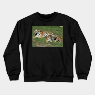 Tigers Crewneck Sweatshirt